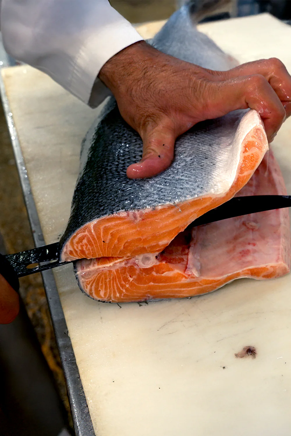 Butcher Knife 10" | Night Shark Series | NSF Certified | Dalstrong © - Image 10