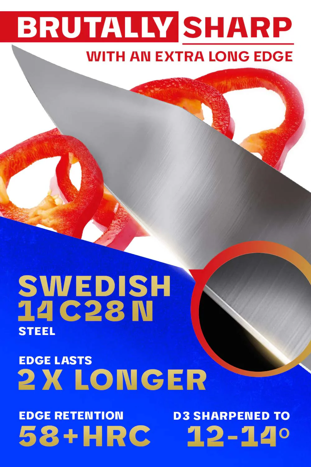Chef Knife 10" | Centurion Series | Dalstrong © - Image 2