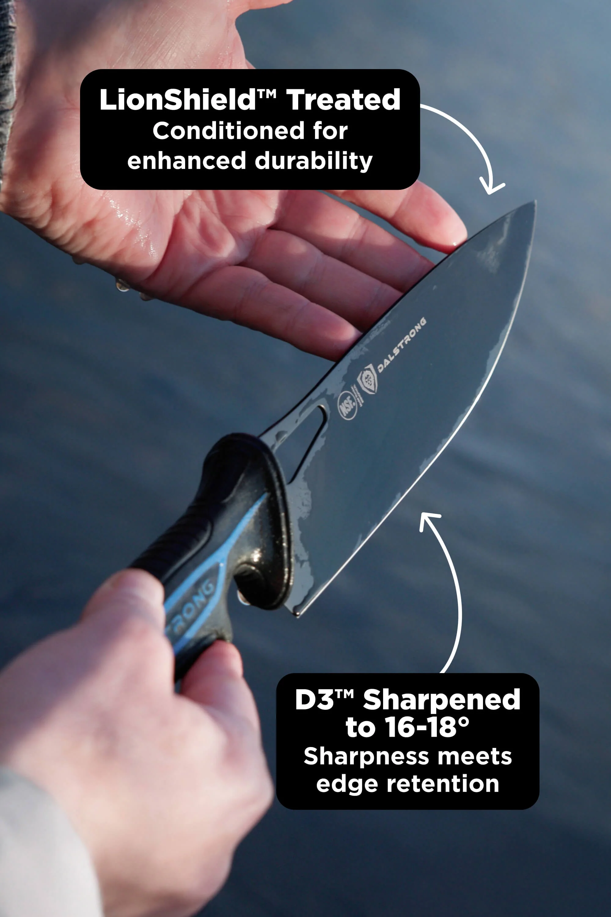 Chef's Knife 8" | Night Shark Series | NSF Certified | Dalstrong © - Image 10