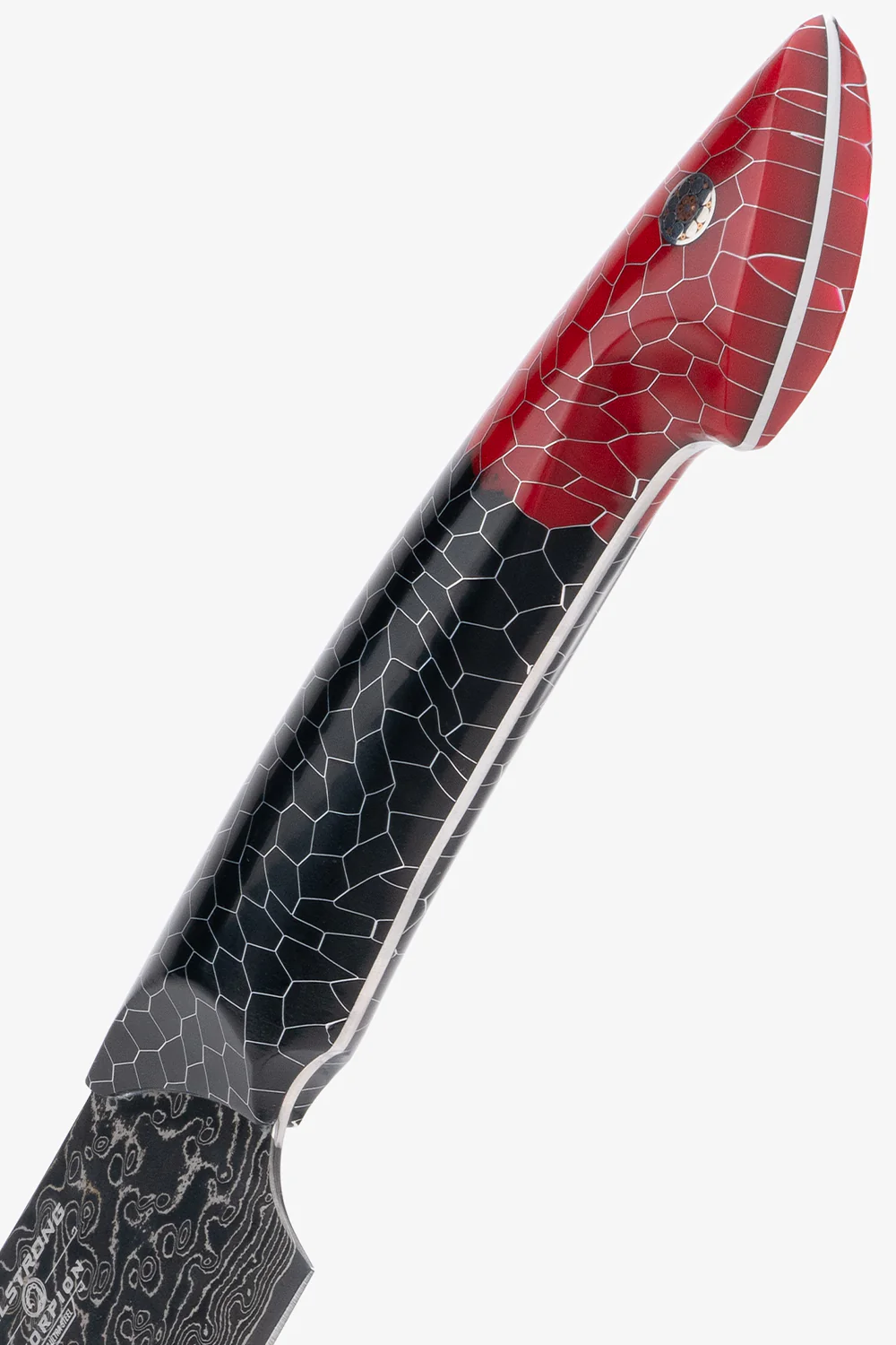 Crixus Knife 8" | The Scorpion Series | Dalstrong © - Image 6