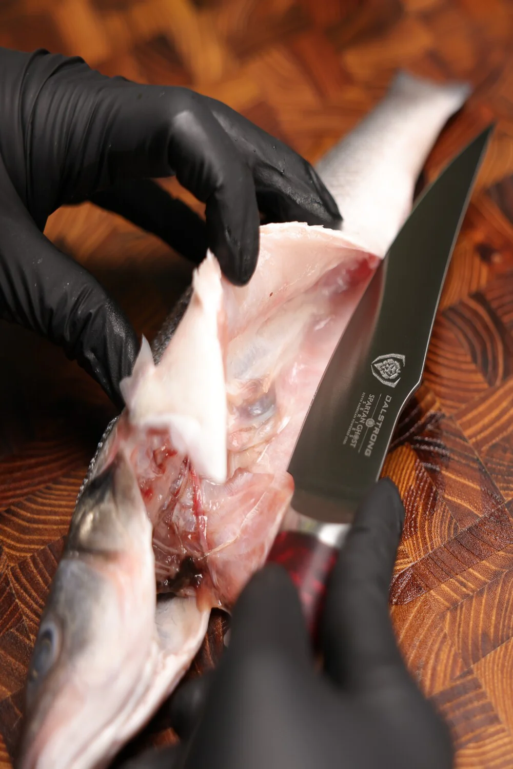 Curved Fillet Knife 6.5" | Spartan Ghost™ Series | Dalstrong © - Image 12