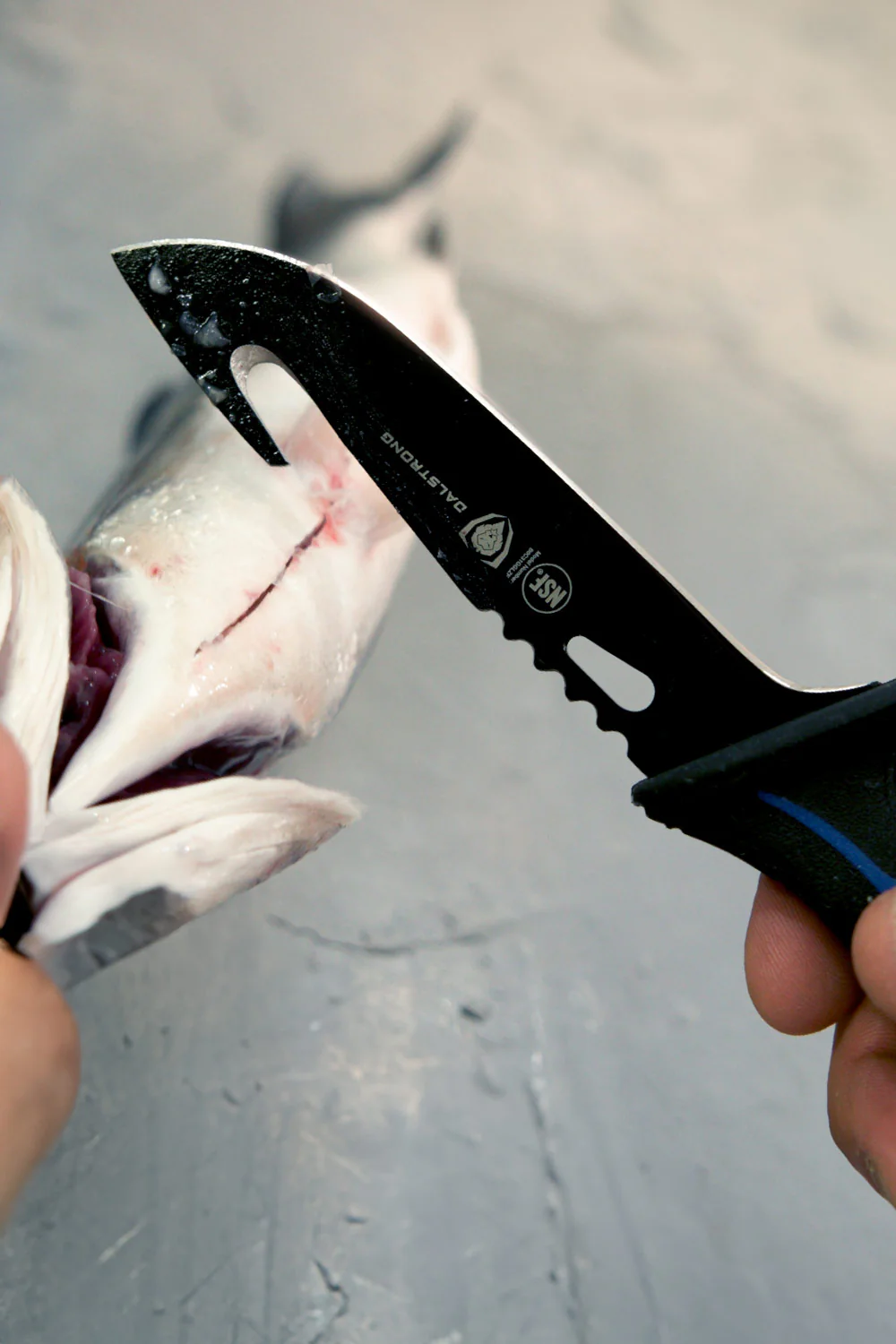 Hook Knife 5" | Night Shark Series | NSF Certified | Dalstrong © - Image 4