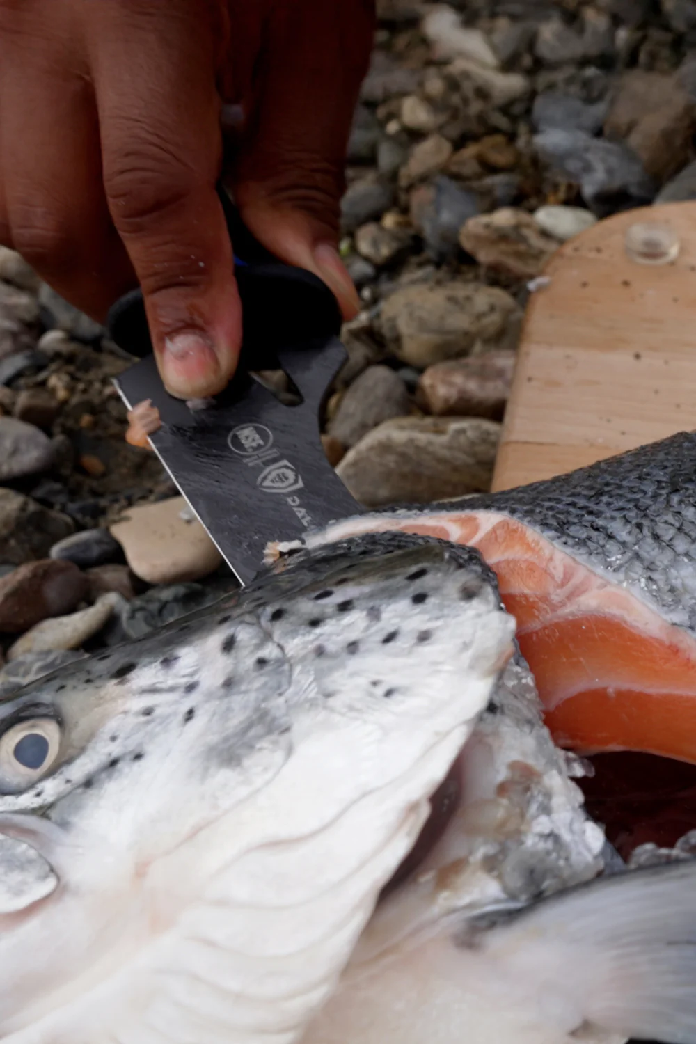 Offset Slicing & Carving Knife 10" | Night Shark Series | NSF Certified | Dalstrong © - Image 13