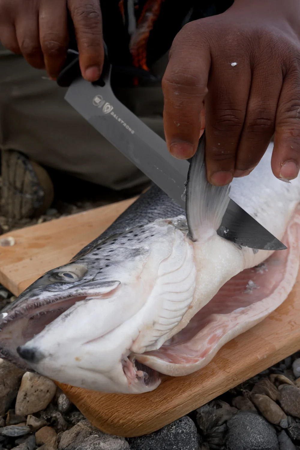 Offset Slicing & Carving Knife 10" | Night Shark Series | NSF Certified | Dalstrong © - Image 8