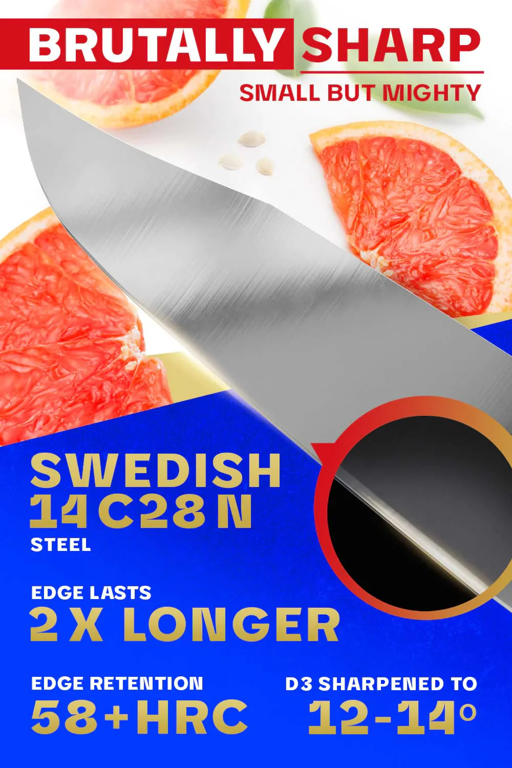 Paring Knife 3.5" | Centurion Series | Dalstrong © - Image 2