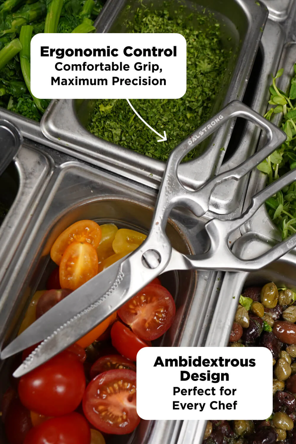Scissors + Pizza Wheel | Dalstrong © - Image 7