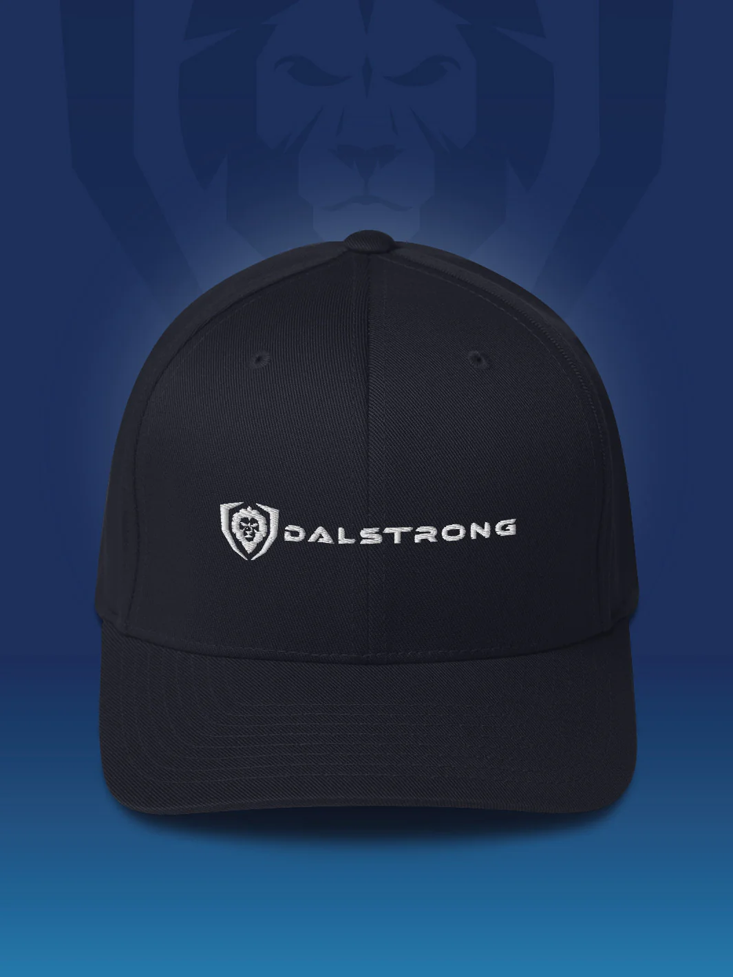 I Like Your Fit Twill Cap - Classic Logo - Image 2