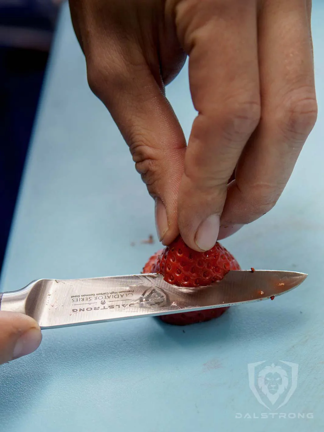 The Gladiator Bundle | 8" Chef's Knife + 3.5" Paring Knife - Image 8